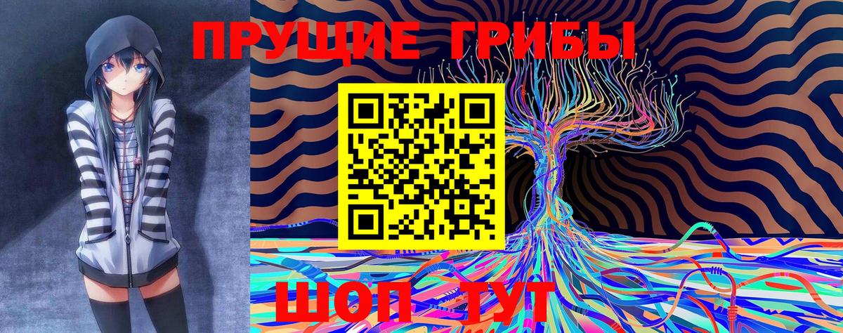 Alpha PVP СК   Старая Купавна  Гашиш  Вход с VPN  Мефедрон  Продажа наркотиков  МДМА  КОКАИН  МЕФ кристаллы 